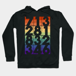 Houston Area Codes Gay Pride Flag Hoodie